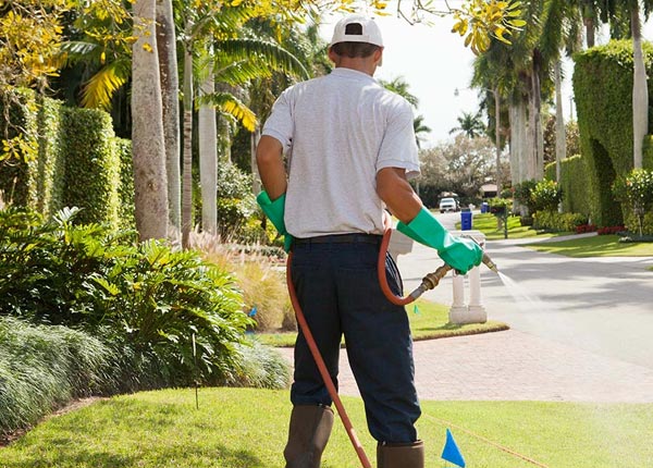 About Hartfield VA Pest Control